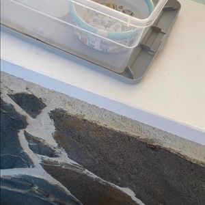 Meet your Posher, Asia